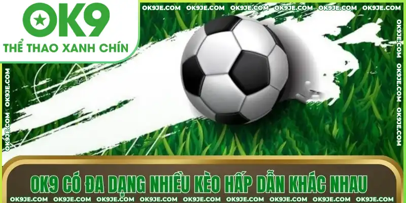 OK9 có đa dạng nhiều kèo hấp dẫn khác nhau OK9 có đa dạng nhiều kèo hấp dẫn khác nhau